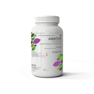 Ambition