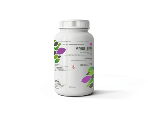 Ambition