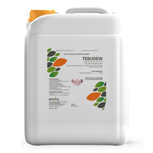 Tebudew